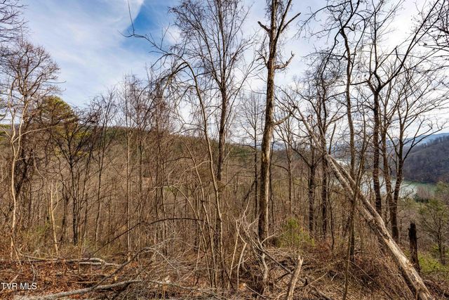Tbd Mountain Wynd Drive, Butler, TN 37640
