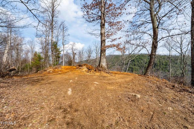 Tbd Mountain Wynd Drive, Butler, TN 37640