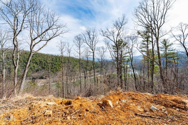 Tbd Mountain Wynd Drive, Butler, TN 37640