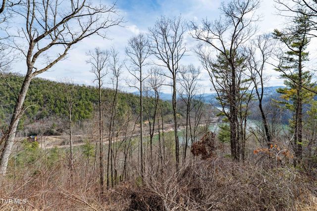 Tbd Mountain Wynd Drive, Butler, TN 37640