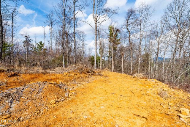 Tbd Mountain Wynd Drive, Butler, TN 37640