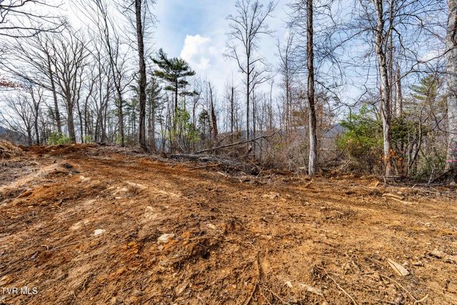 Tbd Mountain Wynd Drive, Butler, TN 37640