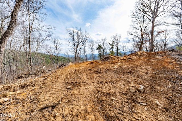 Tbd Mountain Wynd Drive, Butler, TN 37640
