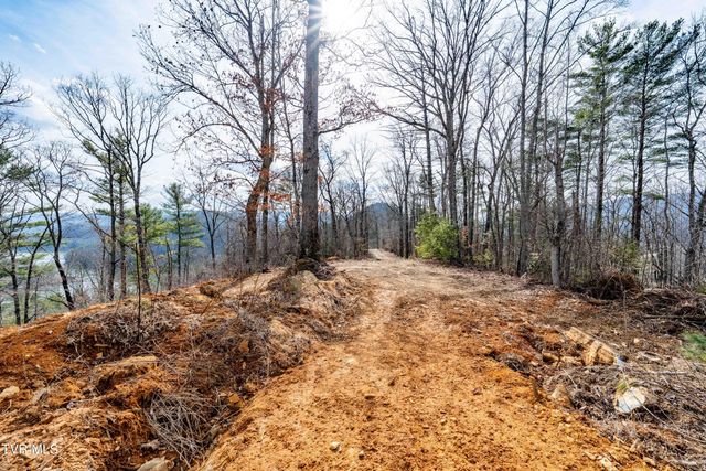 Tbd Mountain Wynd Drive, Butler, TN 37640