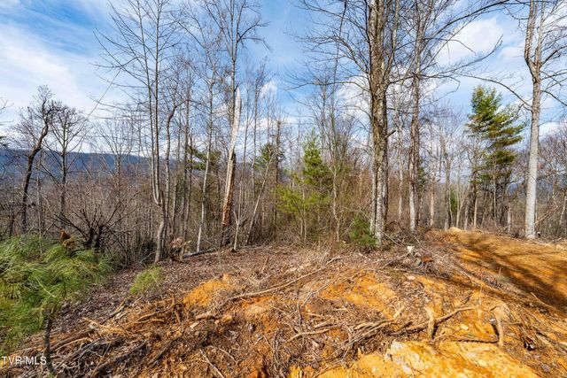 Tbd Mountain Wynd Drive, Butler, TN 37640