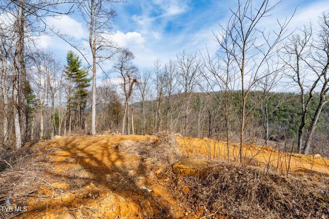 Tbd Mountain Wynd Drive, Butler, TN 37640