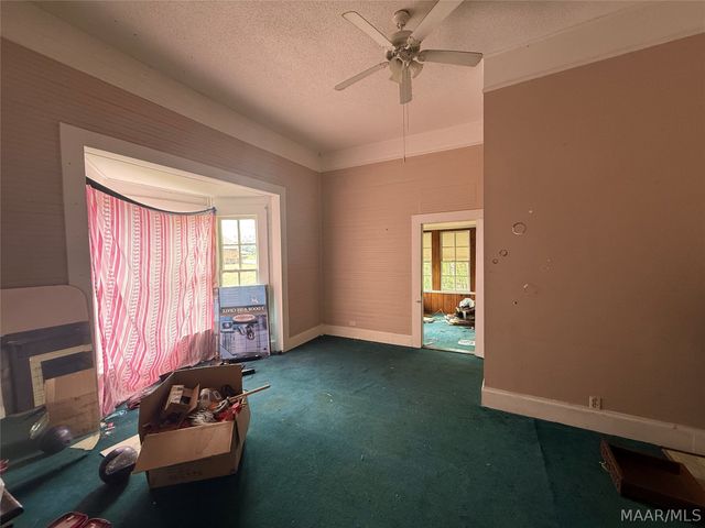 208 MILL Street, Georgiana, AL 36033