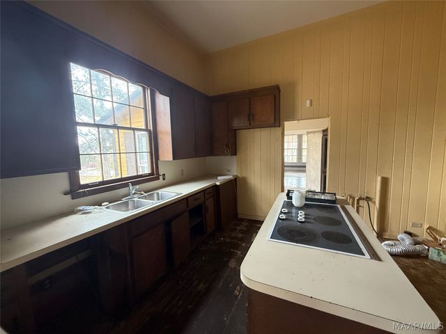 208 MILL Street, Georgiana, AL 36033