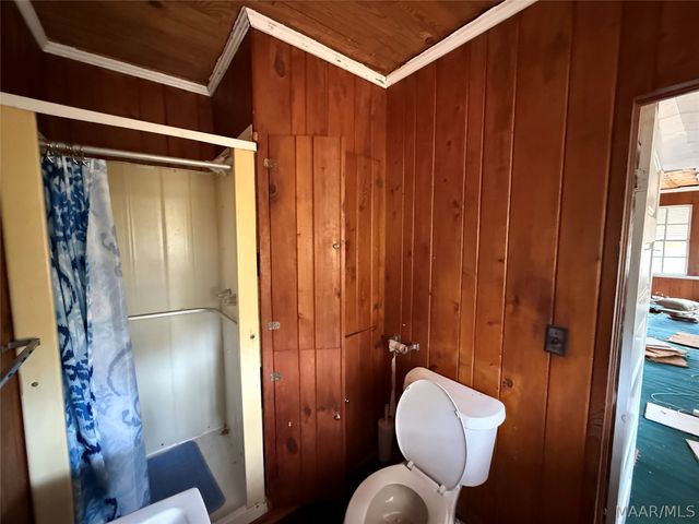 208 MILL Street, Georgiana, AL 36033