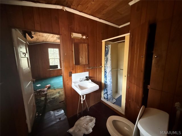 208 MILL Street, Georgiana, AL 36033