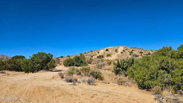 Cor Avenue W8 & 123th St E., Pearblossom, CA 93553