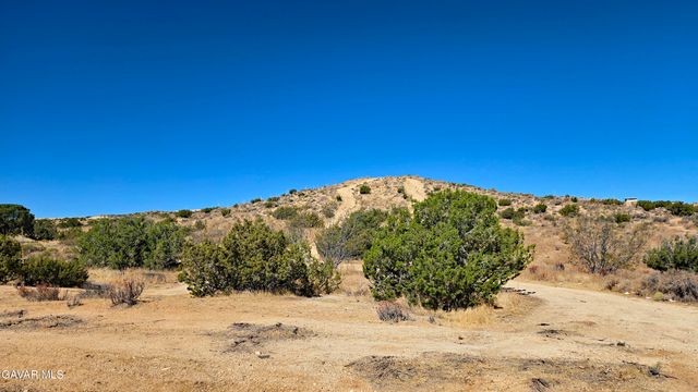 Cor Avenue W8 & 123th St E., Pearblossom, CA 93553