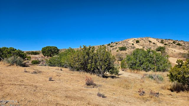 Cor Avenue W8 & 123th St E., Pearblossom, CA 93553