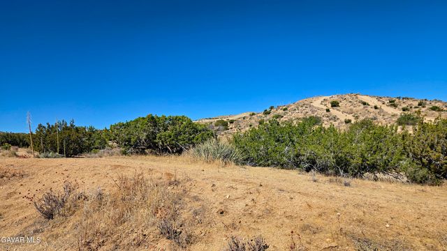 Cor Avenue W8 & 123th St E., Pearblossom, CA 93553
