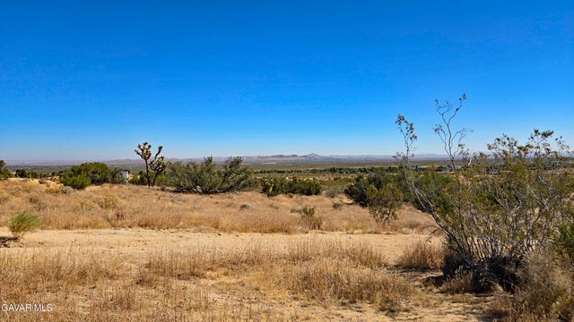 Cor Avenue W8 & 123th St E., Pearblossom, CA 93553