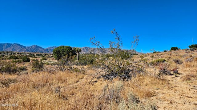 Cor Avenue W8 & 123th St E., Pearblossom, CA 93553