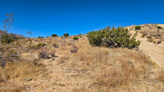 Cor Avenue W8 & 123th St E., Pearblossom, CA 93553