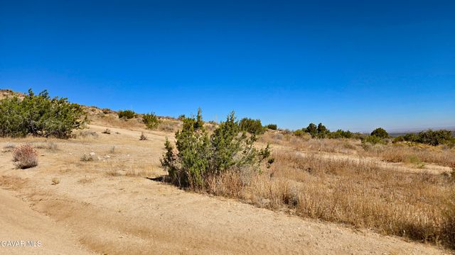 Cor Avenue W8 & 123th St E., Pearblossom, CA 93553