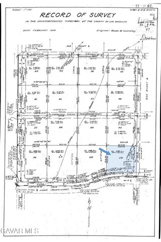 Cor Avenue W8 & 123th St E., Pearblossom, CA 93553