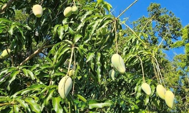 2874 INDIANWOOD DRIVE, Sarasota, FL 34232