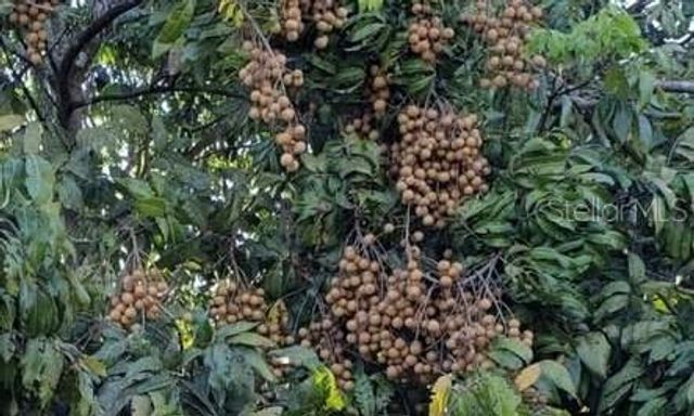 2874 INDIANWOOD DRIVE, Sarasota, FL 34232