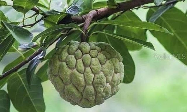 2874 INDIANWOOD DRIVE, Sarasota, FL 34232