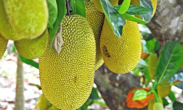 2874 INDIANWOOD DRIVE, Sarasota, FL 34232