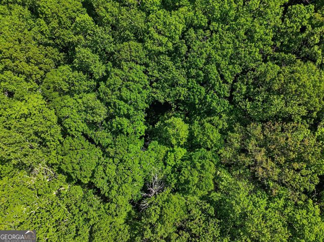 4 ACRES Dancing Bear Trail, Clayton, GA 30525