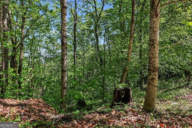 4 ACRES Dancing Bear Trail, Clayton, GA 30525