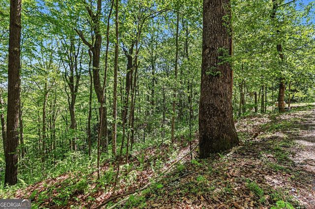 4 ACRES Dancing Bear Trail, Clayton, GA 30525