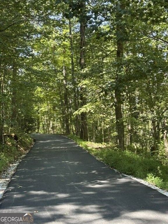 4 ACRES Dancing Bear Trail, Clayton, GA 30525 — photo 3
