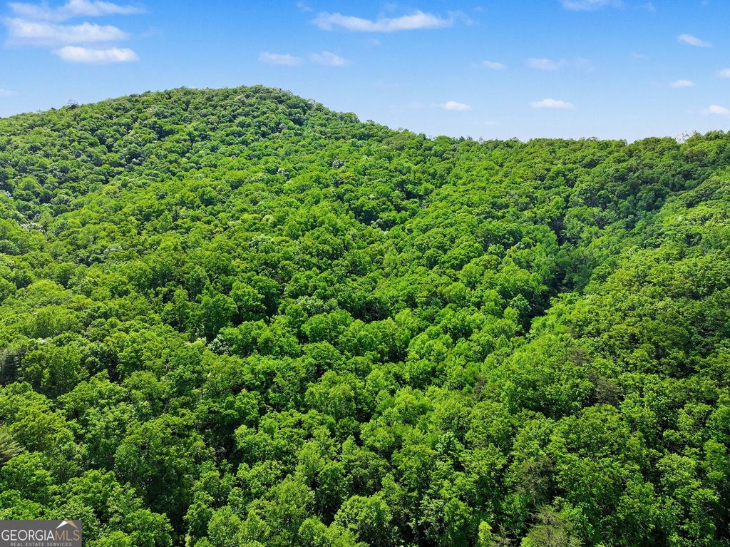 4 ACRES Dancing Bear Trail, Clayton, GA 30525 — photo 4