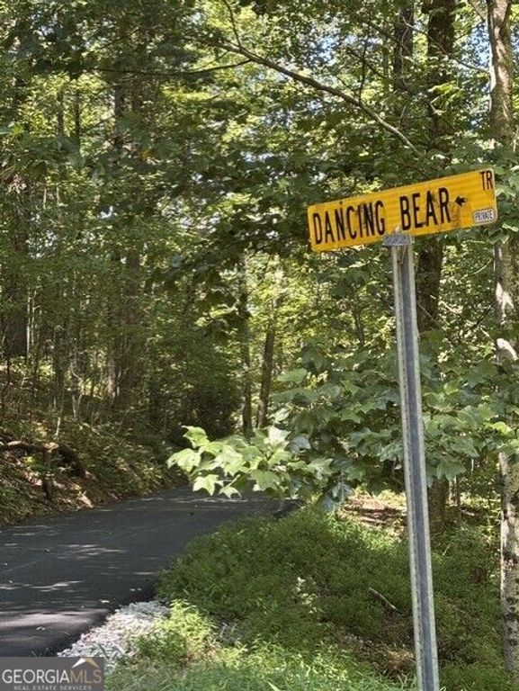 4 ACRES Dancing Bear Trail, Clayton, GA 30525 — photo 5