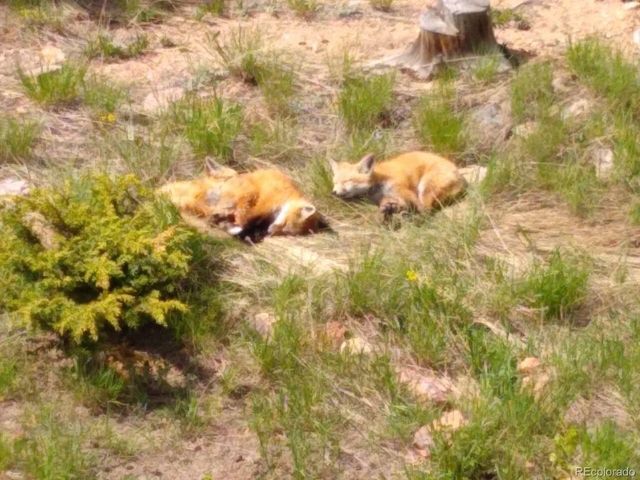 401 Highway 72, Golden, CO 80403