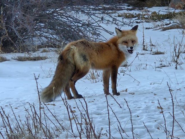 401 Highway 72, Golden, CO 80403