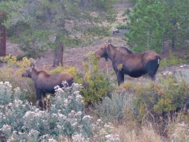 401 Highway 72, Golden, CO 80403