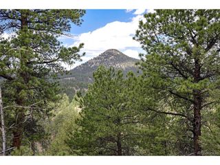 293 Badger Trl, Florissant, CO 80816