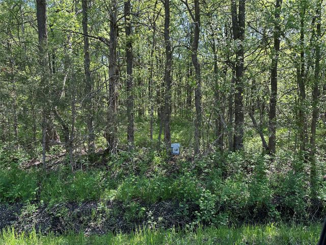 Tract 16 County Road 2960, Honey Grove, TX 75446