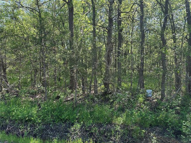 Tract 16 County Road 2960, Honey Grove, TX 75446