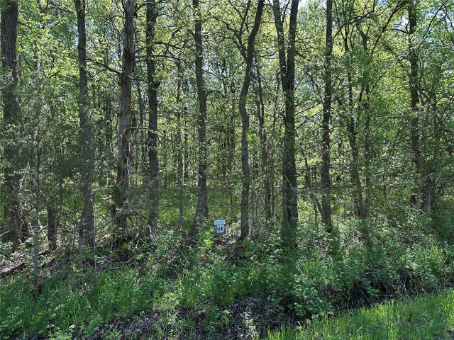 Tract 16 County Road 2960, Honey Grove, TX 75446