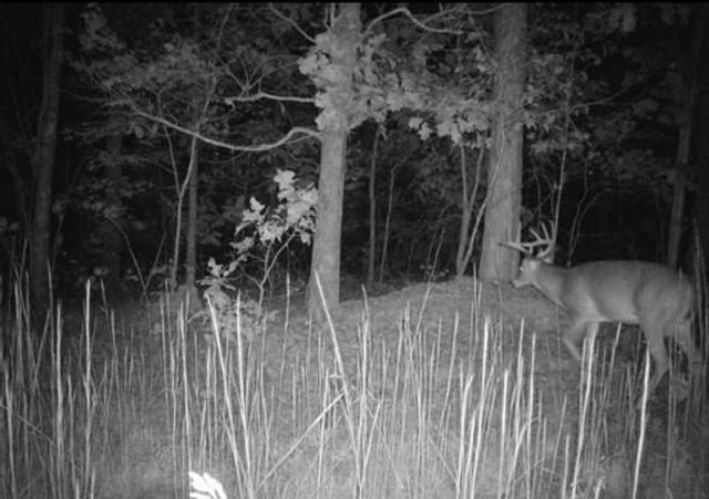 1912 Hightower Road, Cedartown, GA 30125