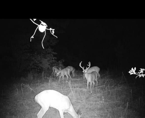 1912 Hightower Road, Cedartown, GA 30125