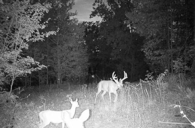 1912 Hightower Road, Cedartown, GA 30125