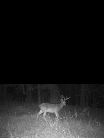 1912 Hightower Road, Cedartown, GA 30125