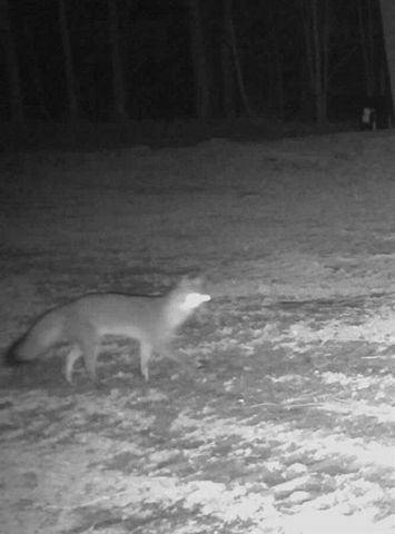 1912 Hightower Road, Cedartown, GA 30125