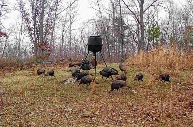 1912 Hightower Road, Cedartown, GA 30125