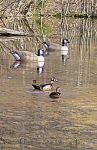 1912 Hightower Road, Cedartown, GA 30125