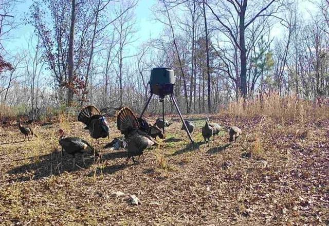 1912 Hightower Road, Cedartown, GA 30125