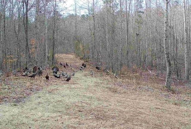 1912 Hightower Road, Cedartown, GA 30125