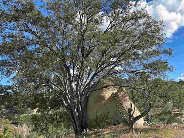 2494 Donnil Lane, Fallbrook, CA 92028